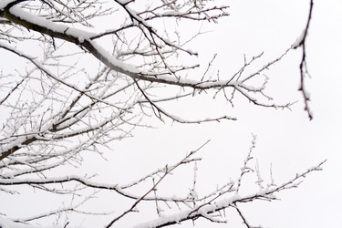 Similar image 7444578