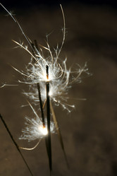 Similar image 7444599