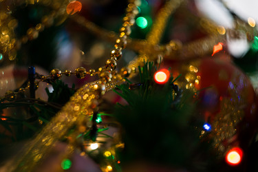 Similar image 7444637