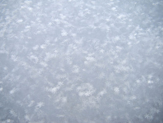 Similar image 7444644