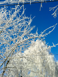 Similar image 7444646