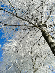 Similar image 7444647