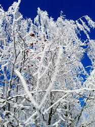 Similar image 7444649