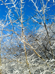 Similar image 7444650