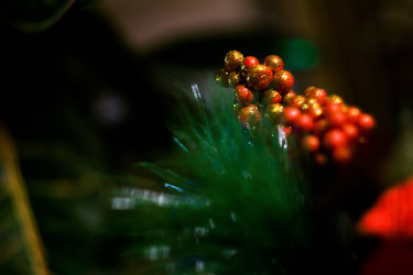 Similar image 7444660