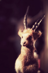 Similar image 7444663