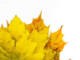 Similar image 7444673