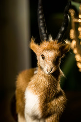 Similar image 7444674