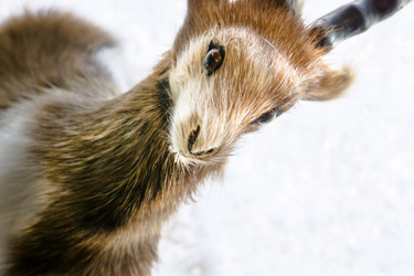 Similar image 7444675