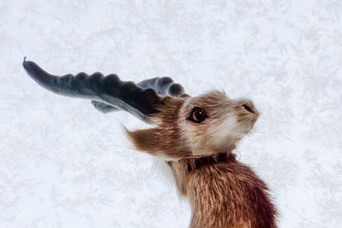 Similar image 7444676