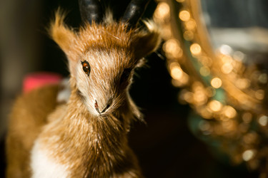 Similar image 7444677