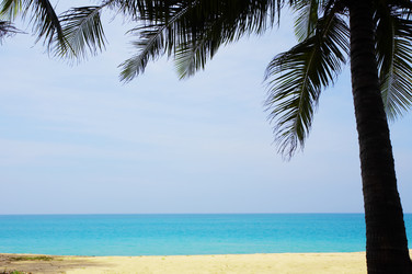 Similar image 7444705