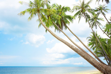 Similar image 7444715