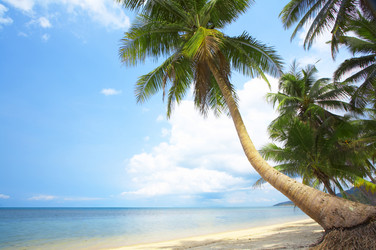 Similar image 7444732