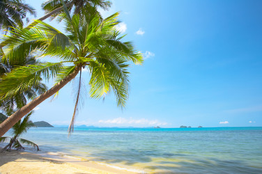 Similar image 7444739