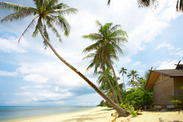 Similar image 7444740