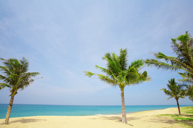 Similar image 7444768