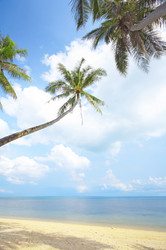 Similar image 7444784