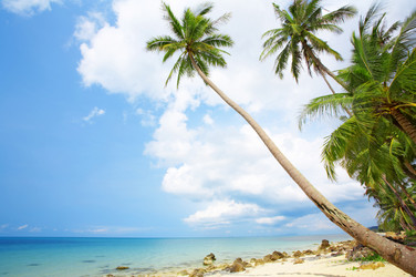 Similar image 7444786