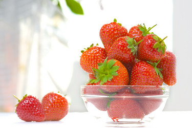 Similar image 7444795