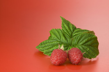 Similar image 7444796