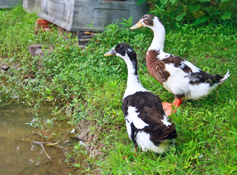 Similar image 7444814