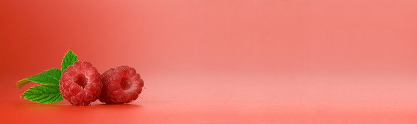 Similar image 7444850