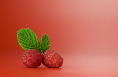 Similar image 7444878