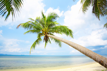 Similar image 7444896