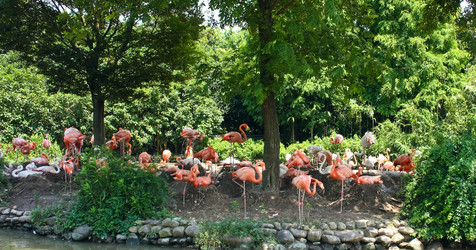 Similar image 7444898