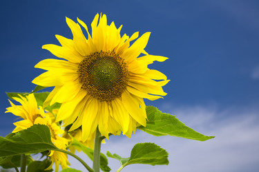 Similar image 7444931