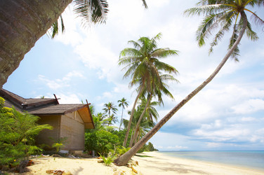 Similar image 7444950