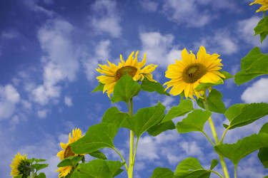 Similar image 7444978