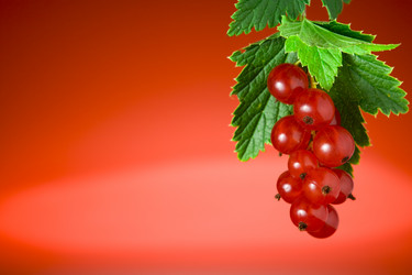 Similar image 7444983