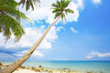 Similar image 7444988