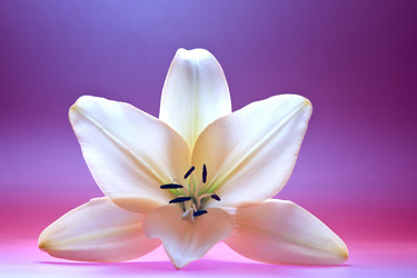 Similar image 7444992