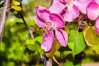 Similar image 7444993