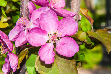 Similar image 7444994