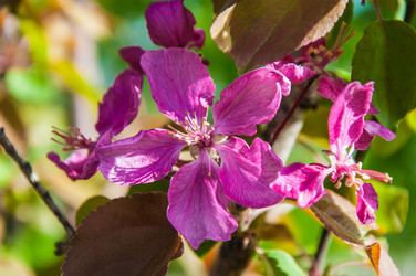 Similar image 7444999