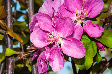 Similar image 7445001