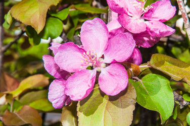 Similar image 7445002