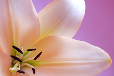 Similar image 7445014