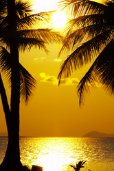 Similar image 7445019