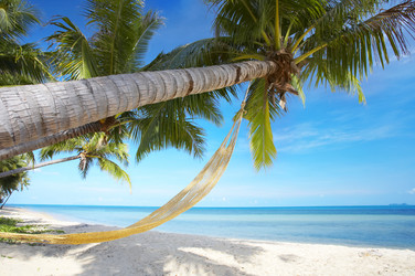 Similar image 7445020