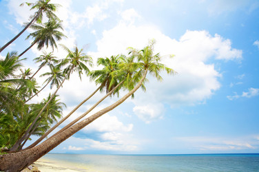 Similar image 7445048