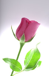 Similar image 7445053