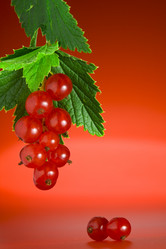 Similar image 7445062