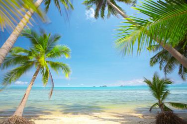 Similar image 7445126