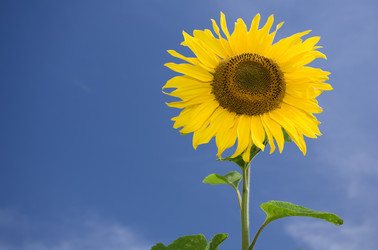 Similar image 7445129