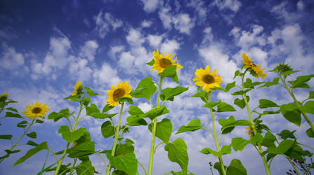 Similar image 7445144